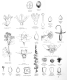 image of  