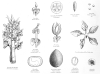 image of  