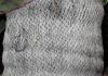 image of Zanthorrhoea 