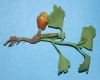 image of Ginkgo biloba