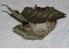 image of Calliteara pudibunda