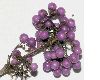 image of Callicarpa 