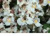 image of  