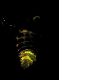 image of Lampyris noctiluca