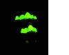 image of Lampyris noctiluca