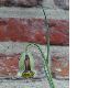 image of Fritillaria acmopetala
