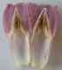 image of Symphytum officinale