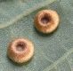 image of Quercus robur