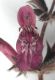 image of Stachys sylvatica