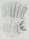 image of Mimoschinia rufofascialis