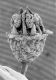 image of Tylerianthus crossmanensis