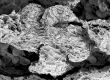 image of Tylerianthus crossmanensis