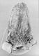 image of Perseanthus crossmanensis