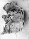 image of Microvictoria svitkoana