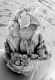 image of Paleoclusia chevalieri