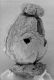image of Paleoclusia chevalieri