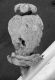 image of Paleoclusia chevalieri