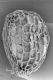 image of Paleoclusia chevalieri