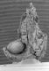 image of Paleoclusia chevalieri