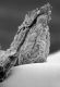 image of Paleoclusia chevalieri