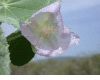 image of  