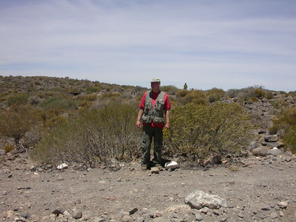 Zygophyllaceae Larrea nitida