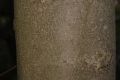 image of Magnolia loebneri