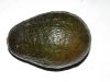 image of Persea americana