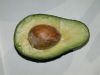 image of Persea americana