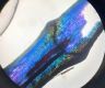 image of Oleandra articulata