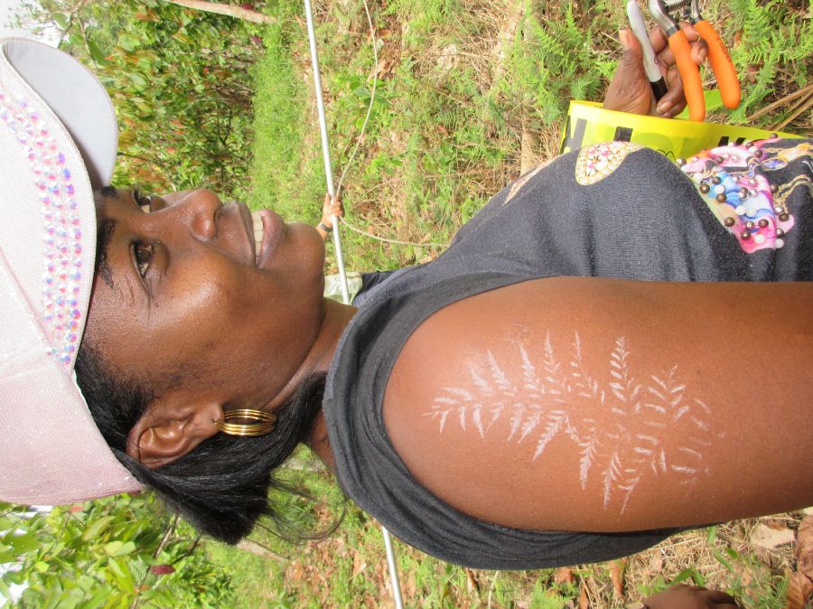 Pteridaceae Pityrogramma calomelanos