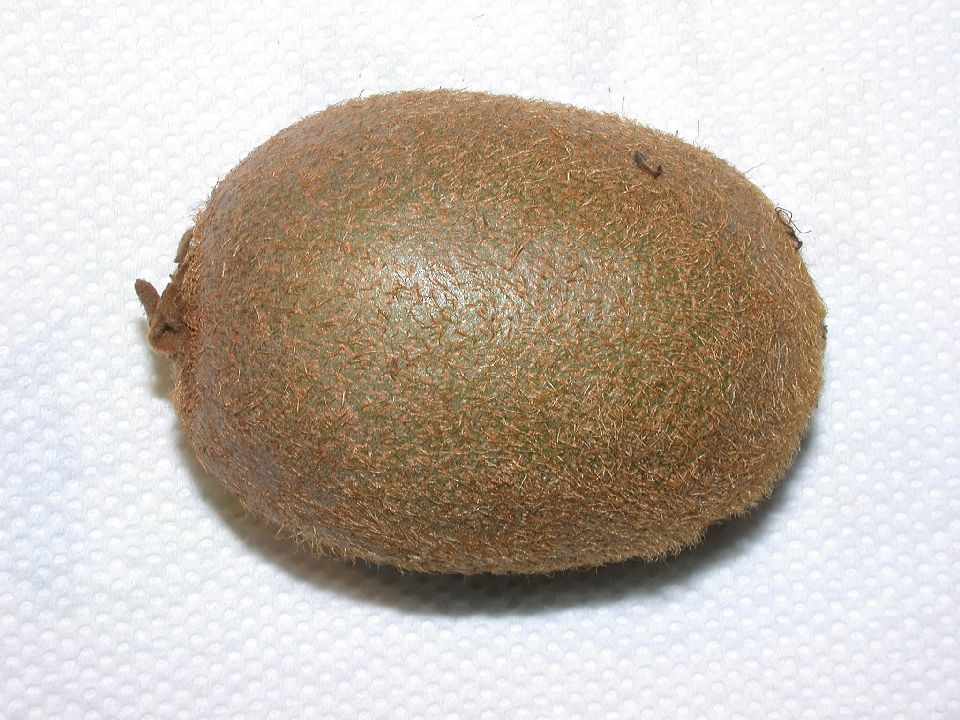 Actinidiaceae Actinidia chinensis