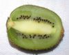 image of Actinidia chinensis