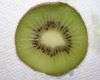 image of Actinidia chinensis