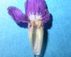 image of Petrea volubilis