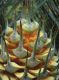 image of Macrozamia communis