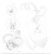 image of Phalaenopsis schilleriana