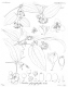 image of Smilax glyciphylla