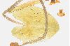 image of Nuphar luteum