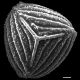 image of Anemia myriophylla