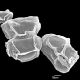 image of Diplazium obscurum