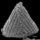 image of Anemia labiakii