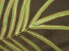 image of Pteris vittata