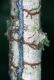image of Campyloneurum serpentinum