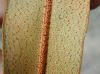 image of Elaphoglossum argyrophyllum