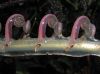 image of Parablechnum cordatum