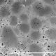image of Blechnidium melanopus