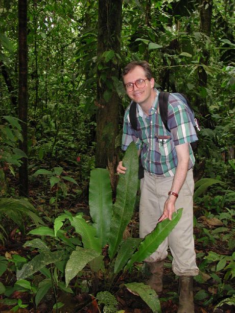 Thelypteridaceae Meniscium giganteum