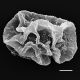 image of Cyclodium meniscioides