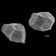 image of Parablechnum stipitellatum